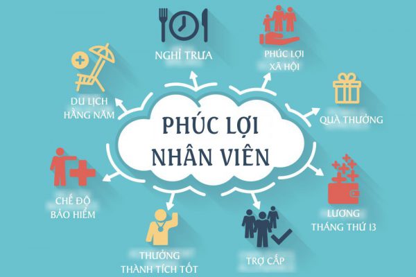 Môi trường làm việc lý tưởng